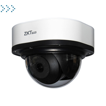 IP камера TEMID