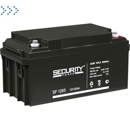 Аккумуляторная батарея SF 1265 Security Force