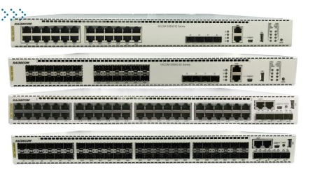 Коммутатор Raisecom