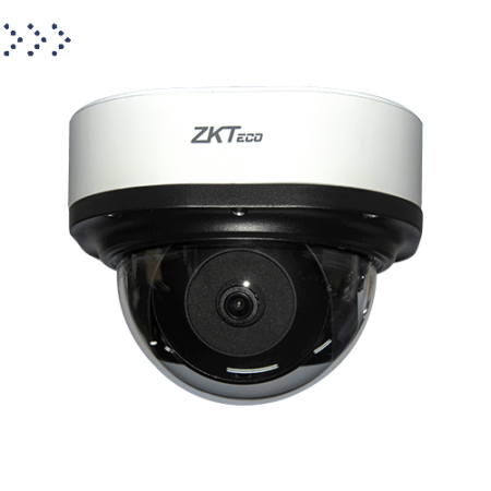 IP камера TEMID