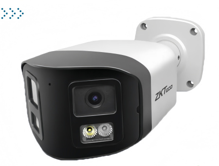 IP камера TEMID